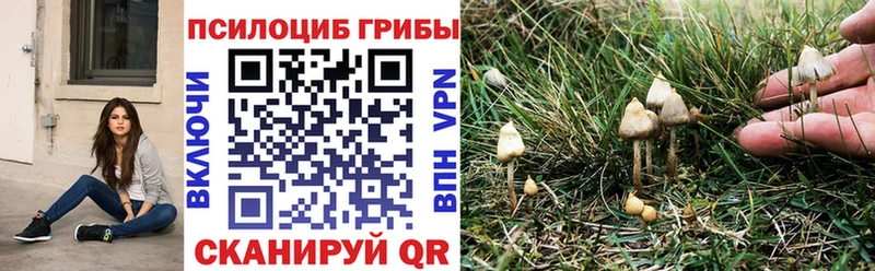 Галлюциногенные грибы Magic Shrooms  дарнет шоп  Советский 